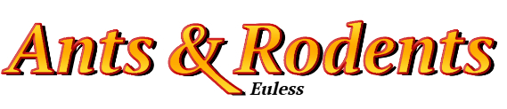 Euless Ant Exterminator & Rodent Control Company Logo